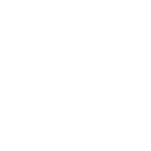 Logo azom color gris